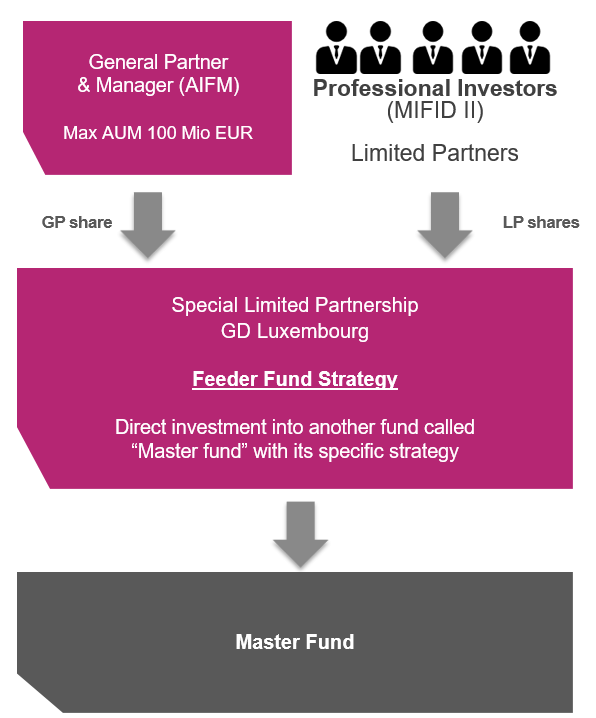 Feeder fund strategy flow chart